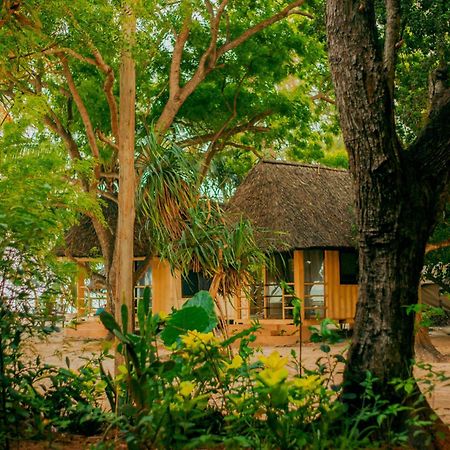 הוסטל דאר א-סאלאם Mikadi Beach Camp & Backpackers מראה חיצוני תמונה